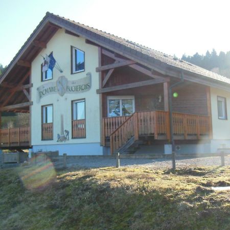 Appartement chalet du bûcheron à Gérardmer Extérieur photo